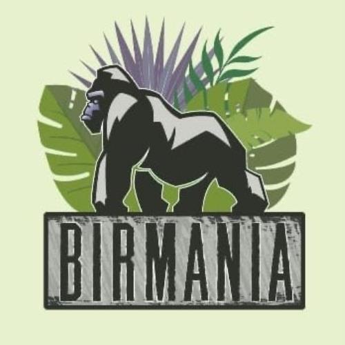 Birmania Bar