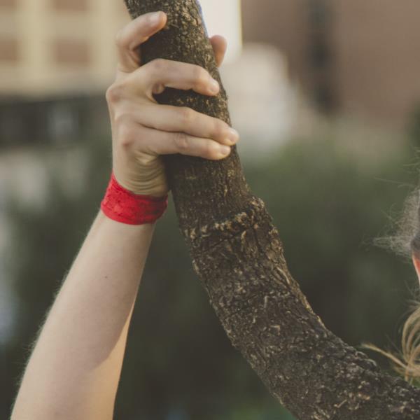 Altibajos Constante Movimiento