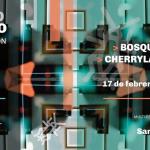 Grillo Blanco - Ciclo fusión de música - 1era. Mutación