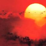 Cine Bajo las Estrellas - Apocalipsys Now