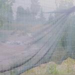 Pablo Primero y Ricardo & Los Tiernos en La Imagen Accesible