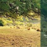 TALLER CLOWN by Julieta Daga