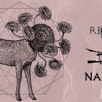 Ríoseco - Búho - Nautilus en Eloy