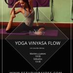 YOGA (VINYASA FLOW)