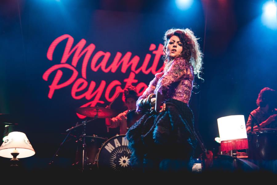 Mamita Peyote despide el año y presenta nueva canción