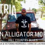  JHON ALLIGATOR MORSEE EN PATRIA BAR