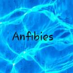 Performance “Anfibies” Elenco Danza Teatro