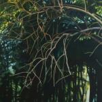 Ensayos sobre la naturaleza y el ser