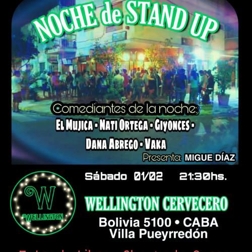 Noche de Stand Up en Wellington