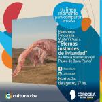 Visita Virtual a la muestra Eternos instantes de liviandad