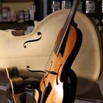 Visita al Taller de Rojoluthier