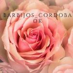 Barbijos Córdoba Ok