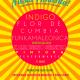 Fiesta Pimienta presenta Indigo reggae -Flor de cumbia-Funkamaleionica