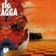 Sig Ragga