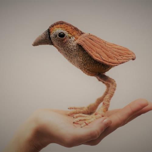 Infantiles: La luz de los pájaros