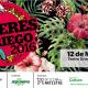 4to Festival Mujeres al Griego