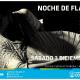Noche de flamenco.