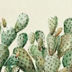 Emanuel Orona presenta "Agreste" en Cocina de Cultura