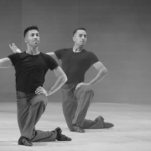 Danza: «Bailar Nebrada»