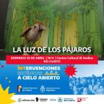LA LUZ DE LOS PÁJAROS