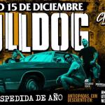 Bulldog en Rosario