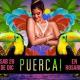 Fiesta Puerca